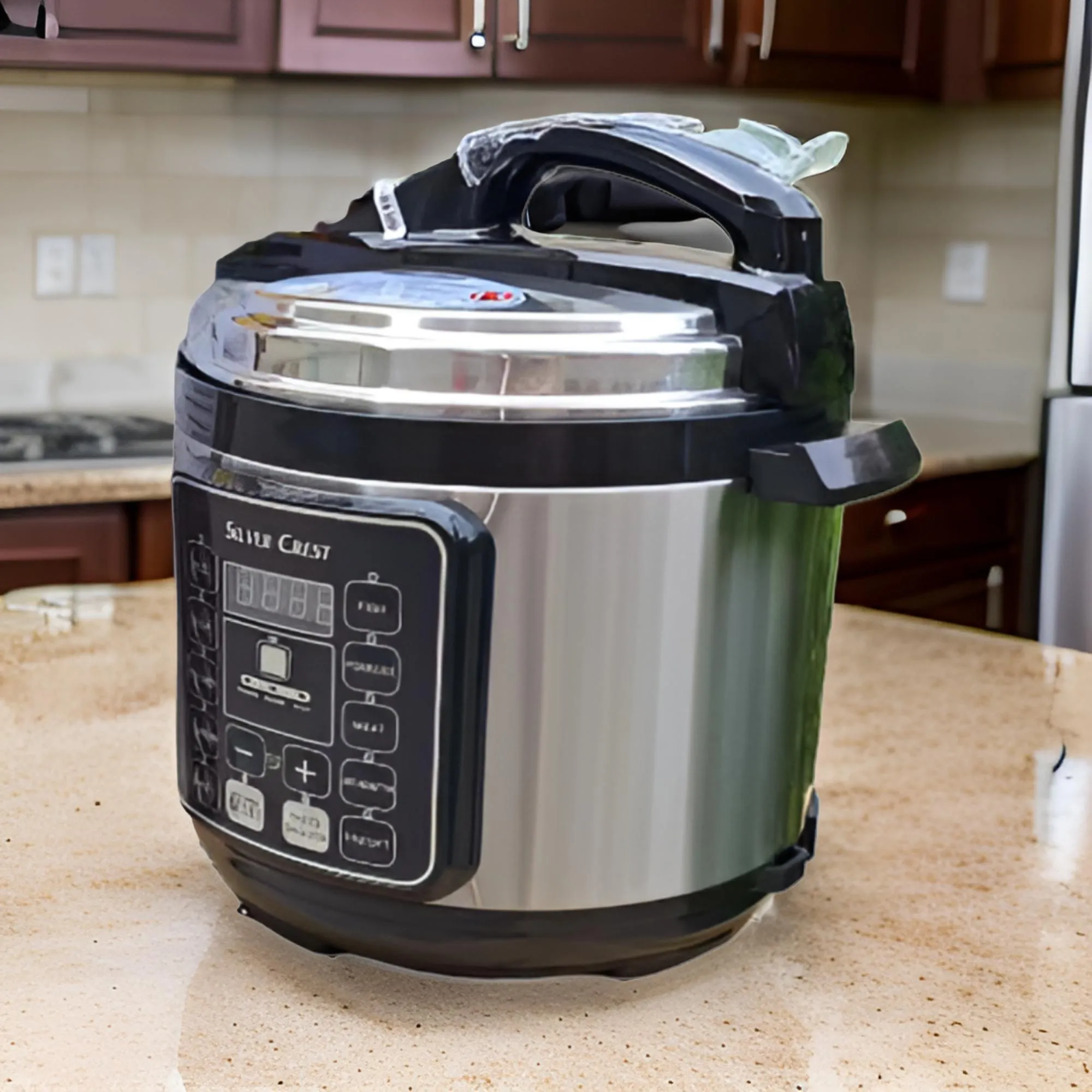 6L Portable Large Capacity Electric Pressure Cooker Ja-23