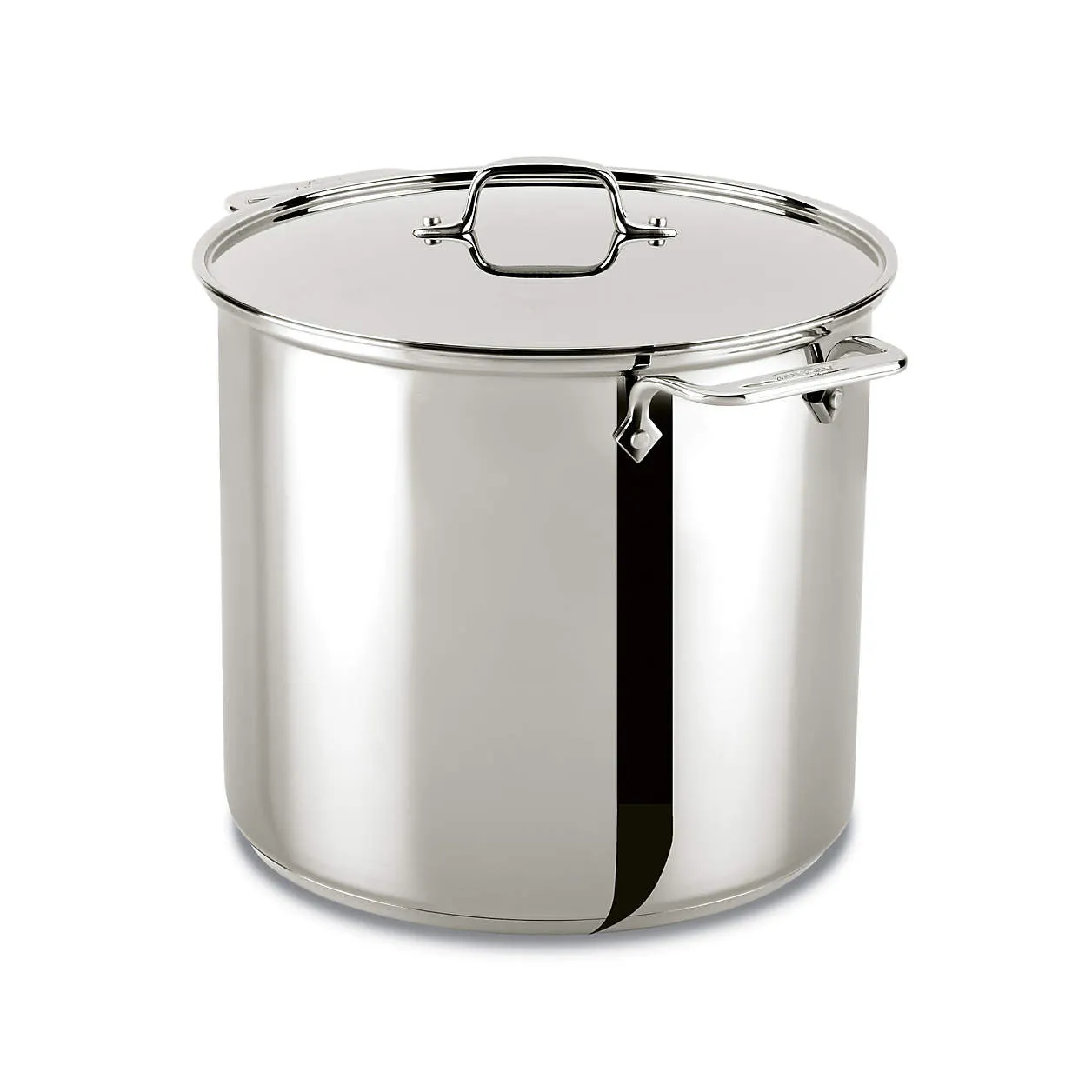 ALL-CLAD, Stainless Steel Stockpot with Lid