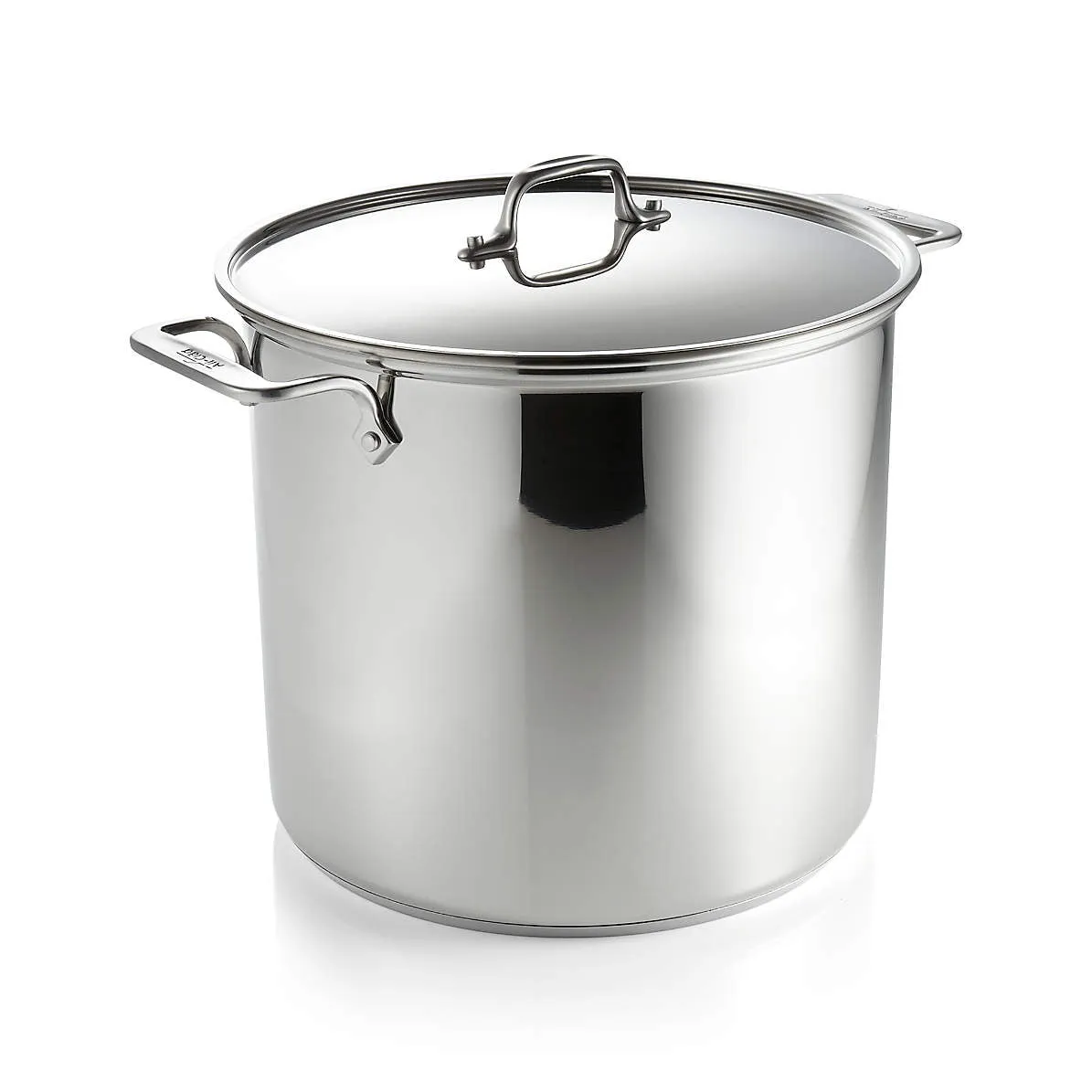 ALL-CLAD, Stainless Steel Stockpot with Lid