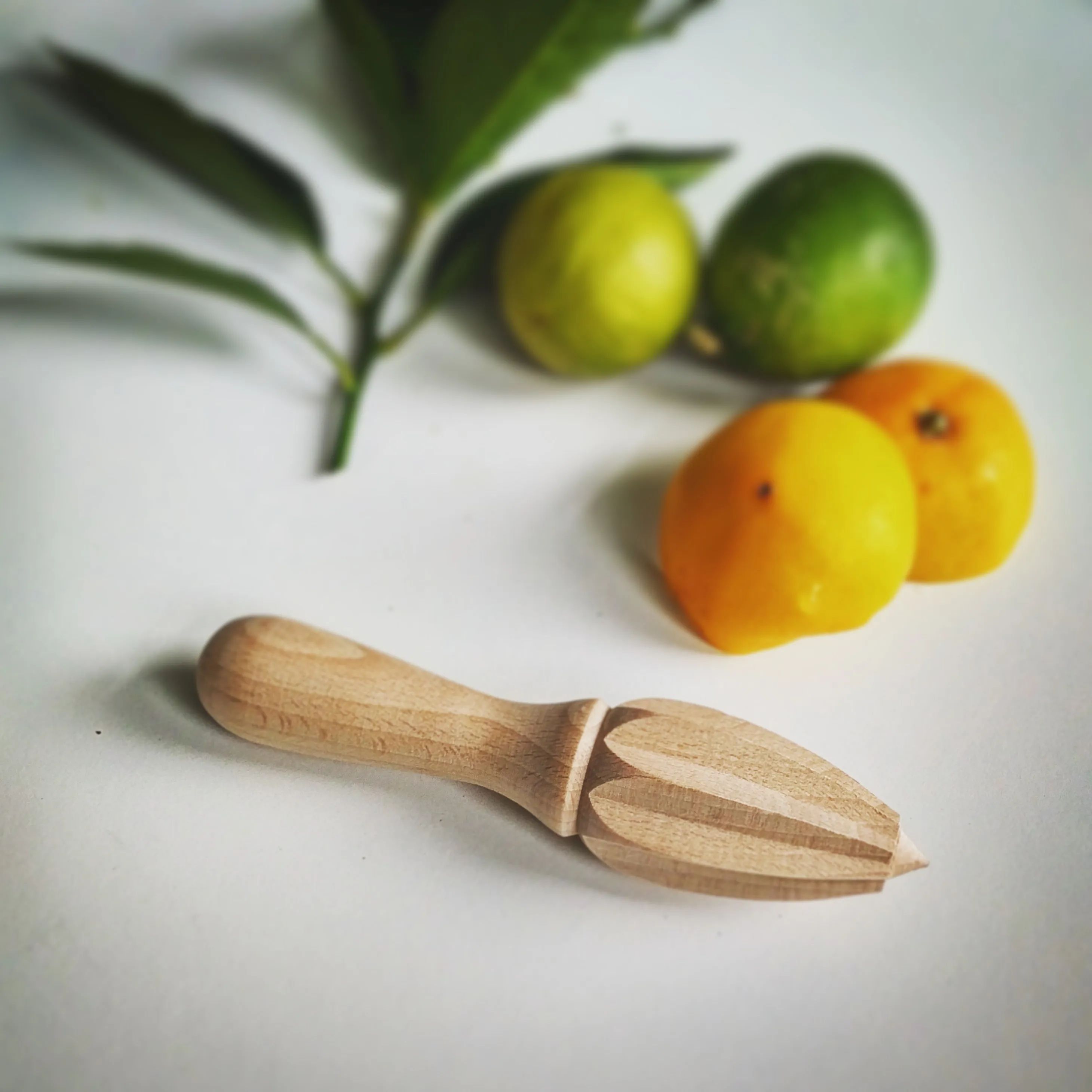 Citrus Reamer