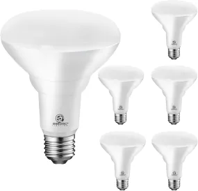 Energetic 6-Pack BR30 LED Recessed Light Bulb