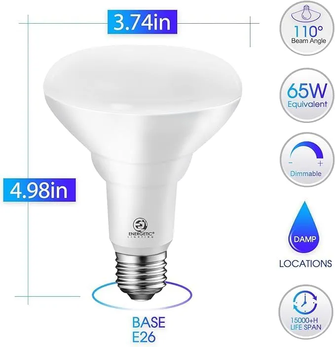 Energetic 6-Pack BR30 LED Recessed Light Bulb