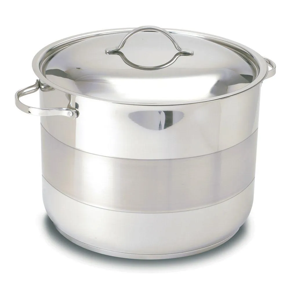 Gourmet 10.5-Liter Covered Stockpot