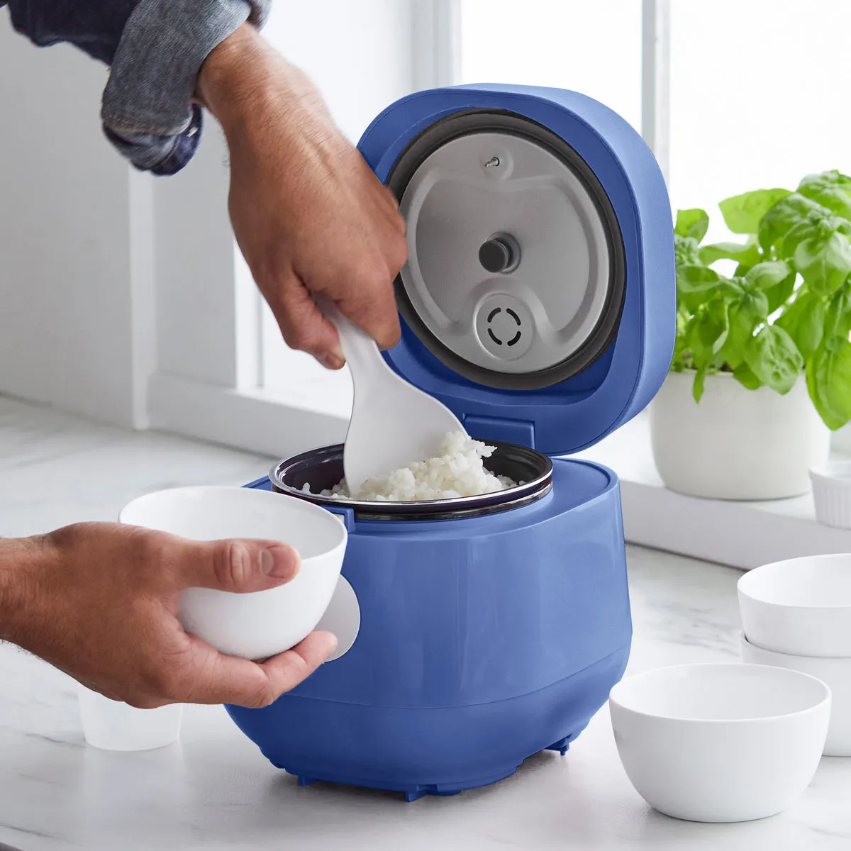 GreenLife Rice & Grains Cooker | Blue