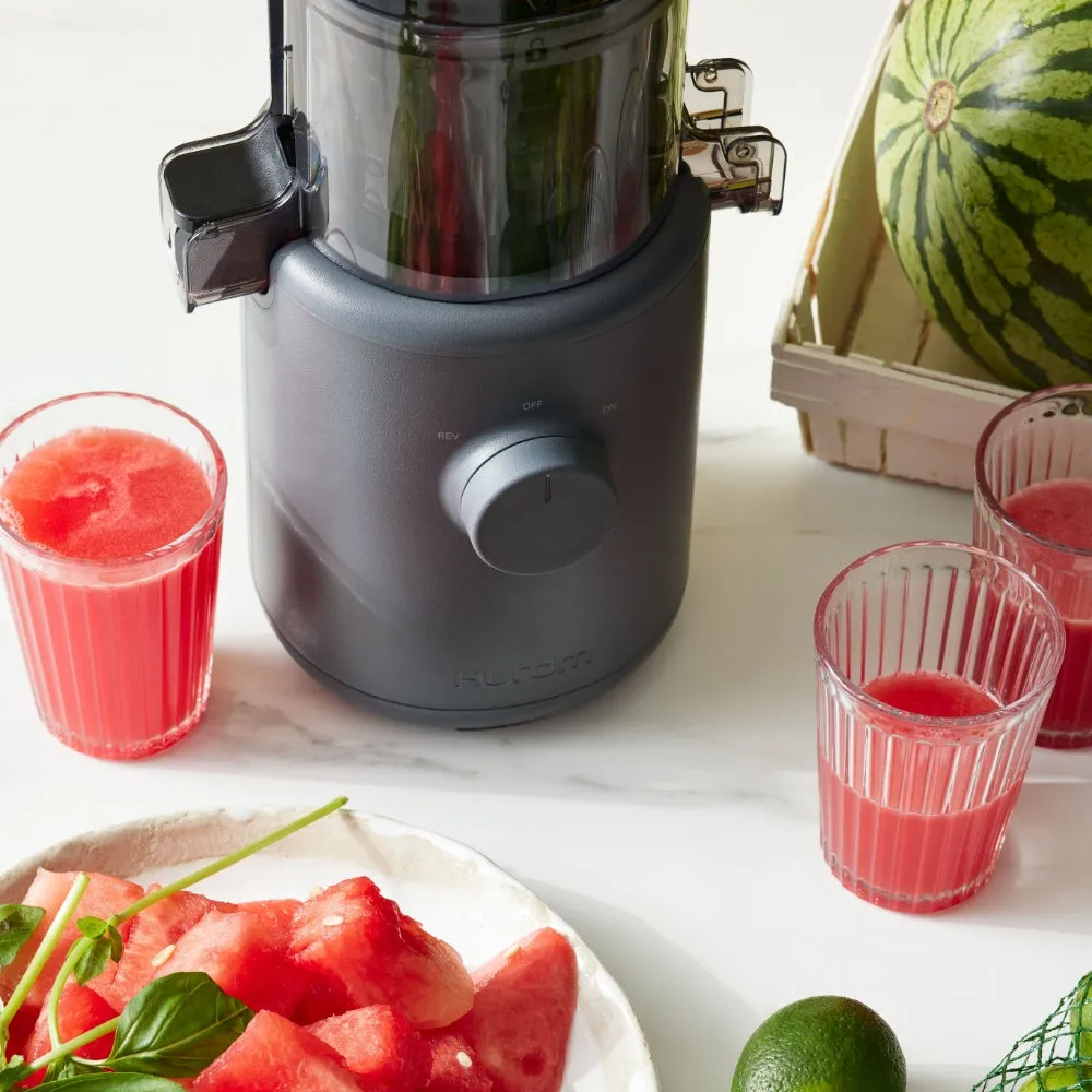 H310 Easy Clean Slow Juicer