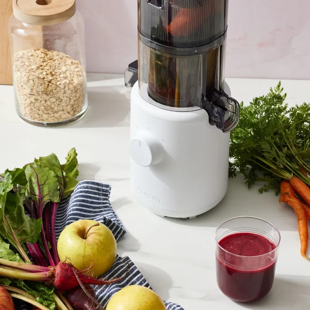 H310 Easy Clean Slow Juicer