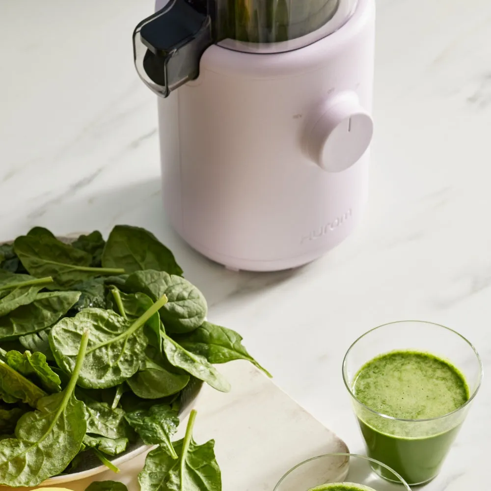 H310 Easy Clean Slow Juicer