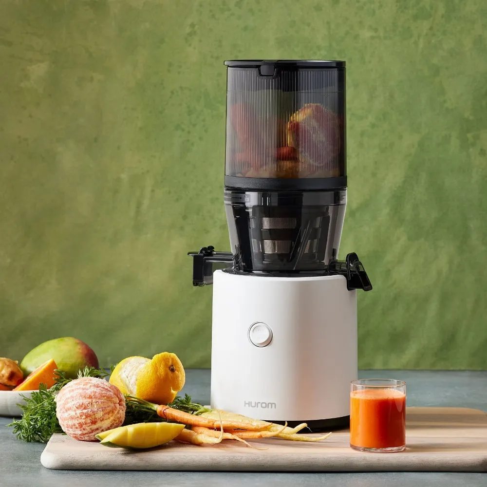 H320 Slow Juicer