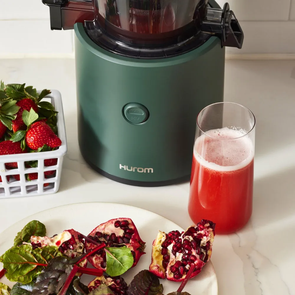 H320 Slow Juicer