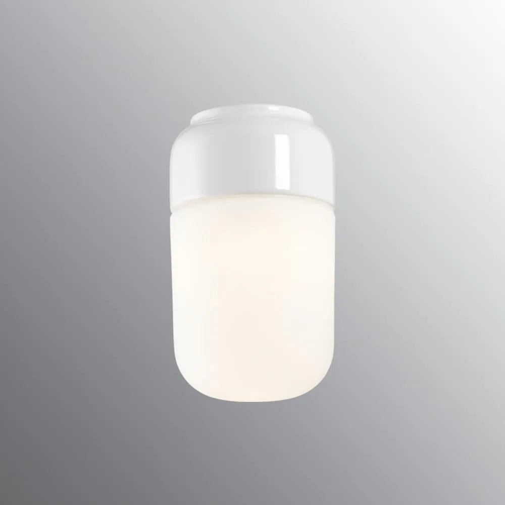 IFO Electric Ohm Wall or Ceiling Light