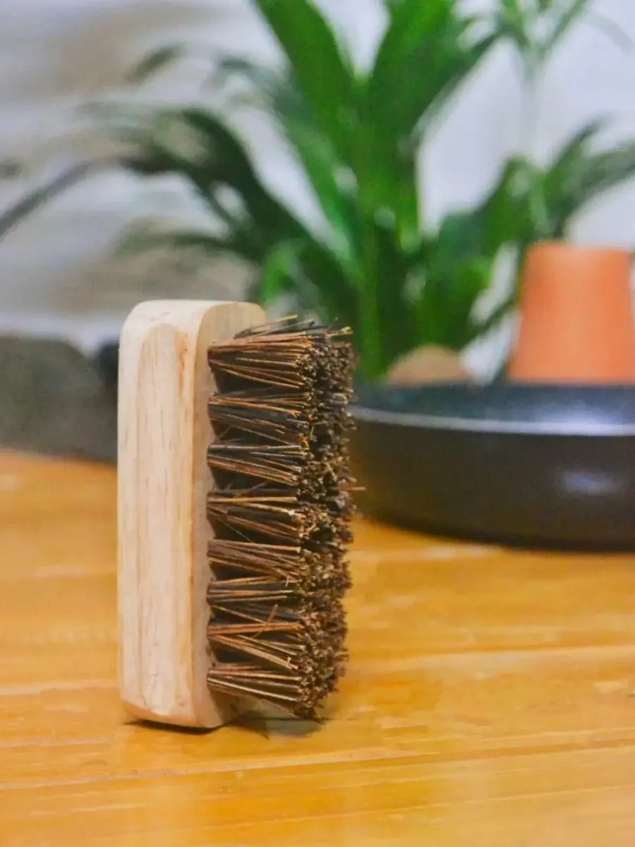 Kitchen Hard Scrub Brush