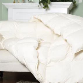 Natural Nights 800 Light Weight Down Comforter