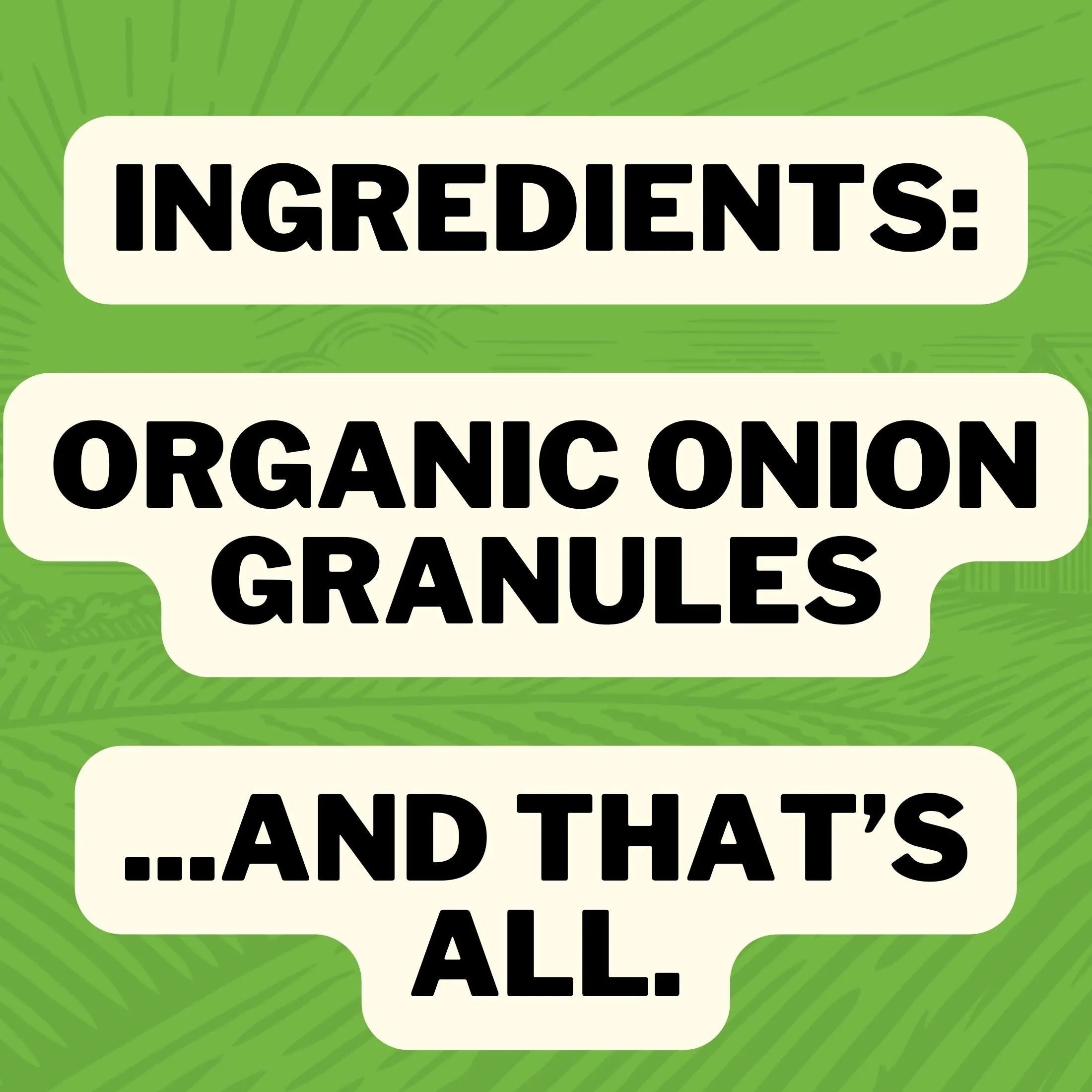 Organic Onion Granules