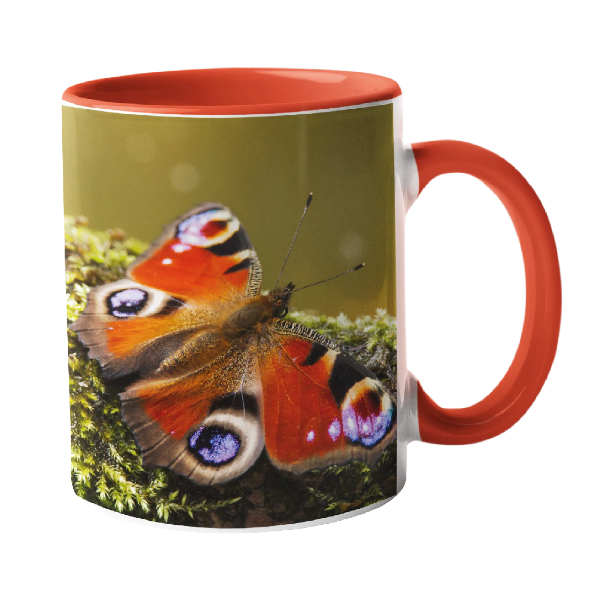 Peacock Butterfly Mug