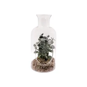 Regent Artificial Succulent In Clear Glass Bottle 80x160mm