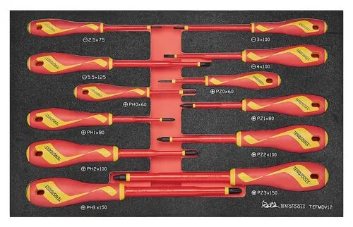 Teng Tools 12 Piece 1000 Volt Insulated Flat, Phillips (PH), Pozidriv (PZ) Screwdriver EVA Foam Tray - TEFMDV12