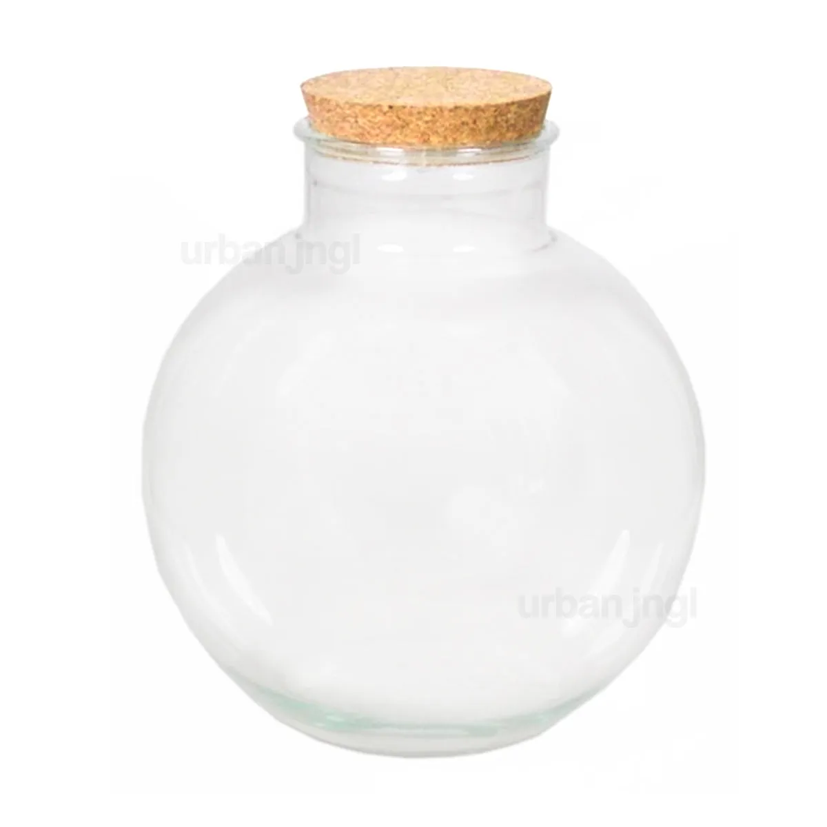 Terrarium bottle with cork - Bolder Bob - Closed terrarium ↑ 30 cm