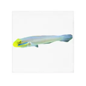 Yellow and White Fish Face Towel